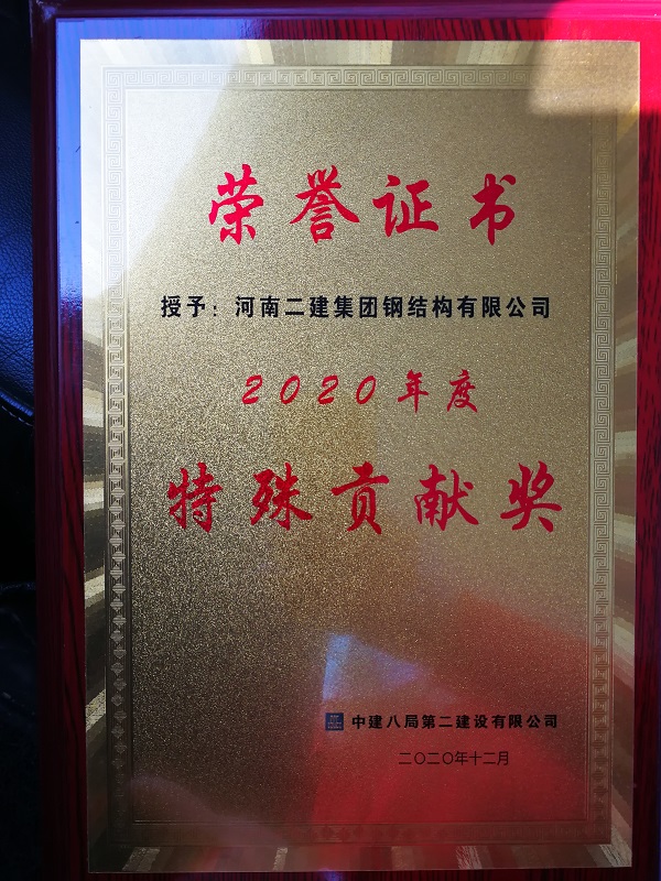 特殊貢獻(xiàn)獎榮譽(yù)證書 - 副本.jpg 特殊貢獻(xiàn)獎榮譽(yù)證書 - 副本.jpg